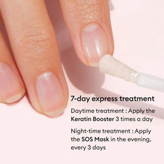 Day & Night Duo